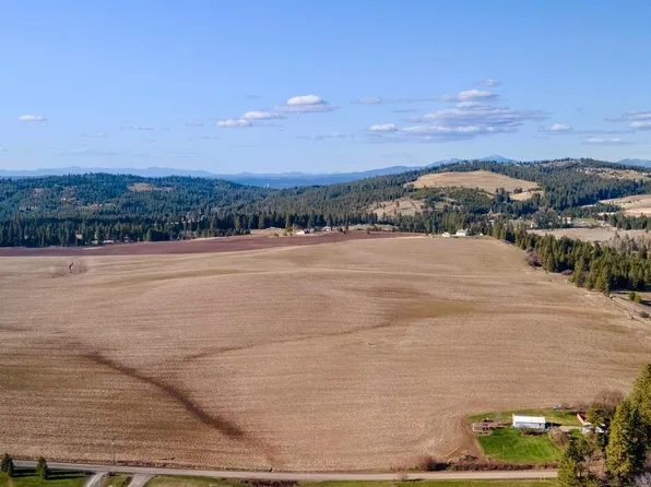 13503 E Gibbs Rd, Mica, WA 99023