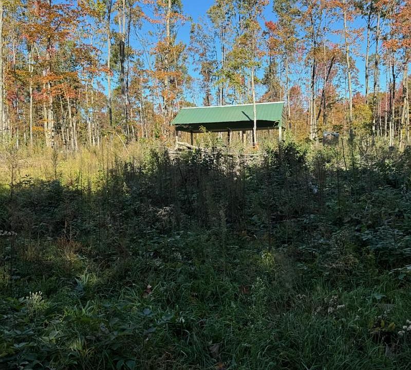 1st image of Blackberry Ln