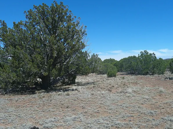 Show Low #40AC, Show Low, AZ 85901