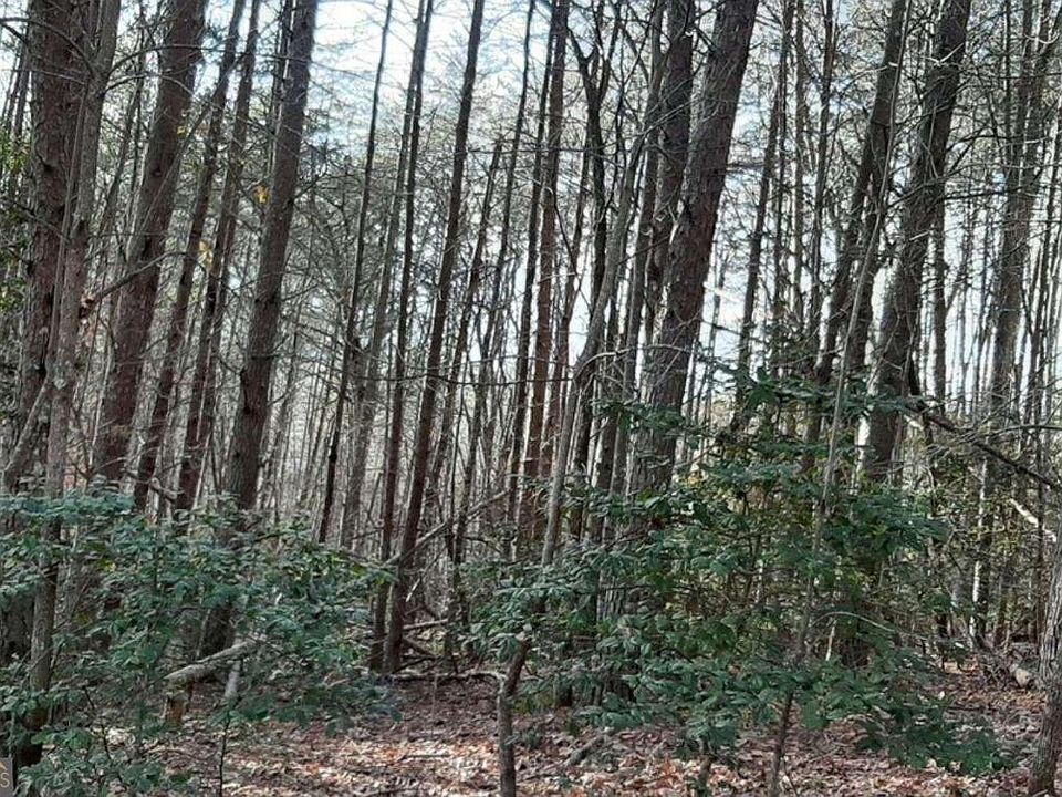 1st image of 0 Cook Mountain Dr #11