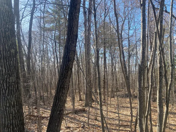 Lot 28 Chapman Street, Harrison, ME 04040