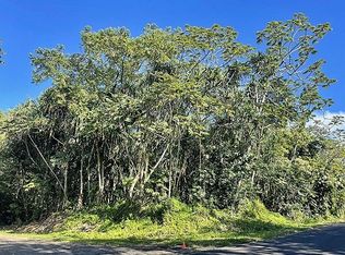 Opae St LOT 1624, Pahoa, HI 96778