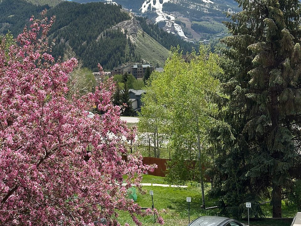 View from living room