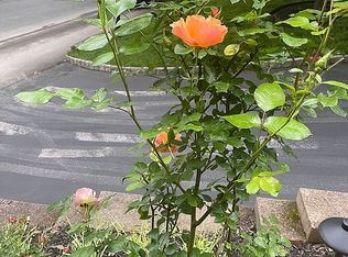 108 Hillcrest Ave, Morristown, NJ 07960