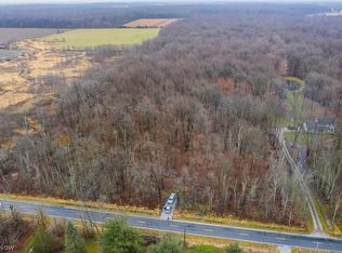 Vandemark Rd, Medina, OH 44256