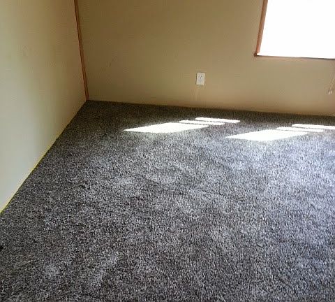 Livingroom new carpet 2014