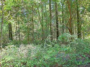 XX Mt Beasor Rd, Sopchoppy, FL 32358