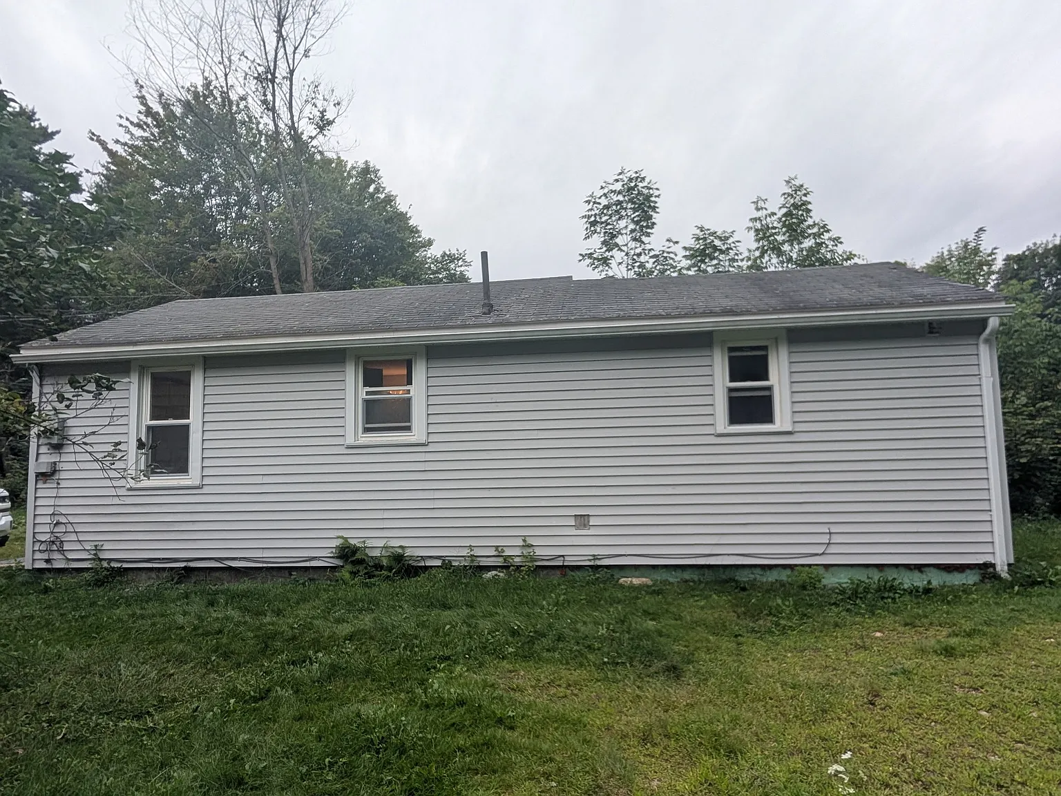 1 bed, 516 sqft, $1,650 — Photo 1