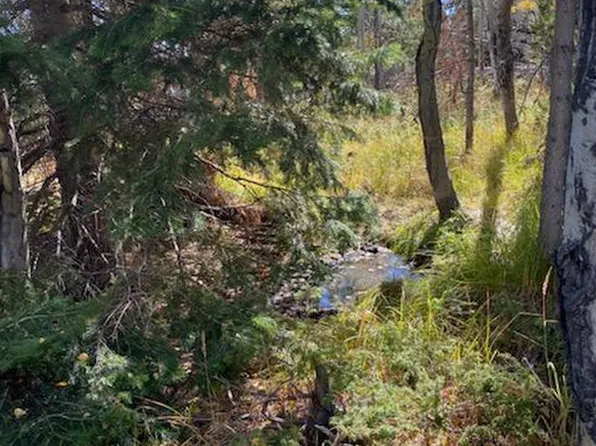 19 Axtupi Ct, Red Feather Lakes, CO 80545