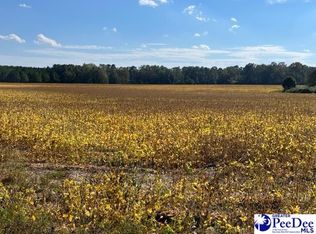 Windham Town Rd, Lamar, SC 29069