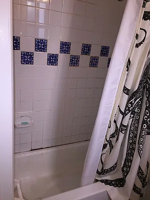 Rented by Joseph Jackson, Landlord | media 11