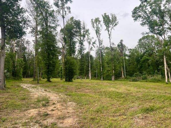 State Highway 113, Dry Creek, LA 70637