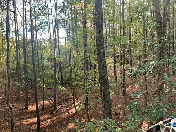 2nd image of 11.770 Daugherty Rd