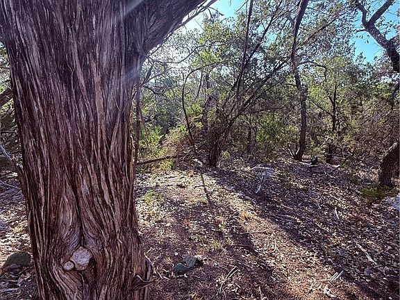 5th image of 3600 Stagecoach Ranch Loop