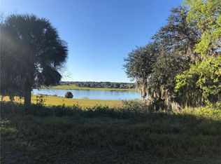 32348 Willowbrook Ln, LEESBURG, FL 34748