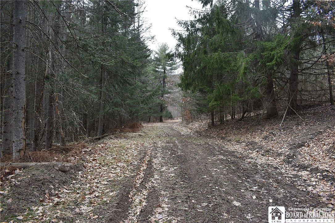 0 Skunk Hollow Rd, Little Genesee, NY 14754 MLS R1490055 Zillow