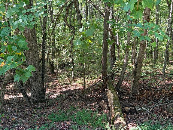 2nd image of Cowpens Dr