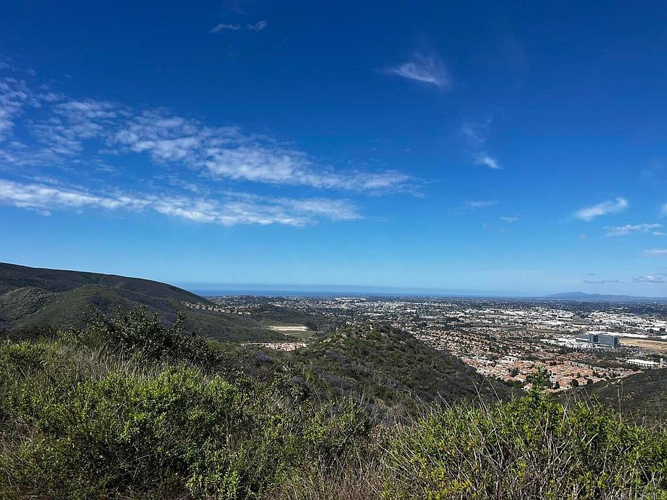 1st image of Washingtonia Dr