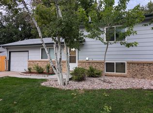 561 Sycamore Dr, Windsor, CO 80550