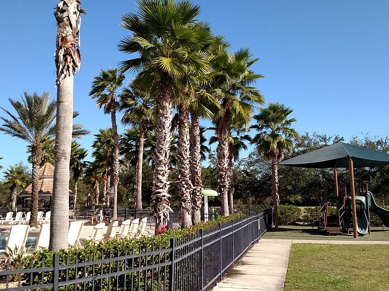 11581 Dancing River Dr — Photo 20