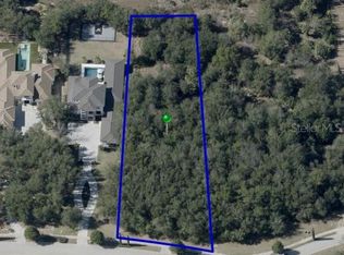 15742 Pendio Dr #178, Montverde, FL 34756