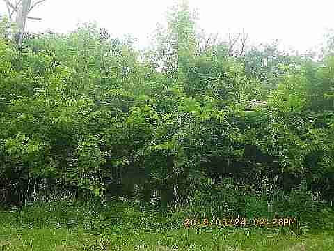 14161 Darcy