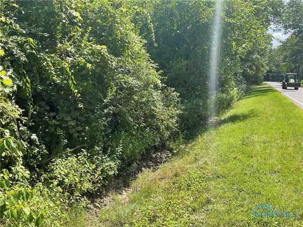 1085 S Schwamberger Rd, Swanton, OH 43558