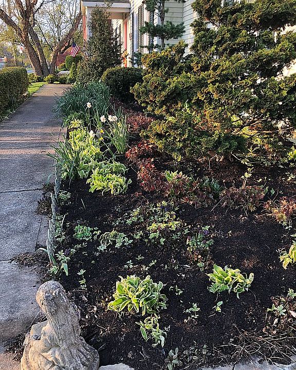 Garden walk to front porch. 