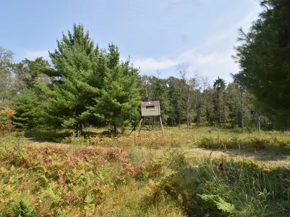 1 Pleasant Acres Trl, Danbury, WI 54830