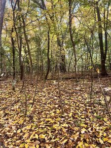 Lt2 DOWNIE ROAD, New Berlin, WI, 53146