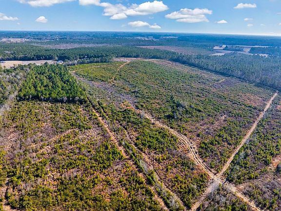 5th image of 100 Acres Fifteen Mile Bay Rd.