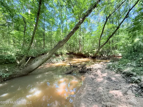 SW Jackson Liberty Dr, Smithdale, MS 39664