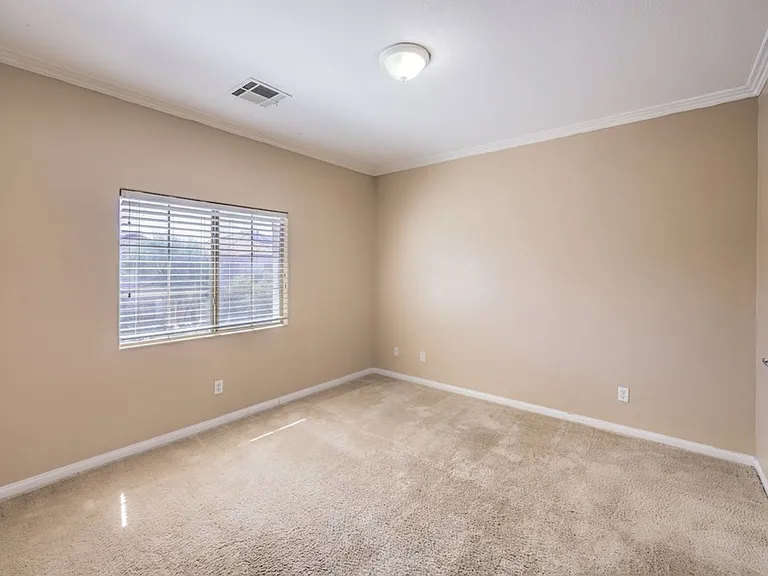 8229 Sawmill Falls St — Photo 10