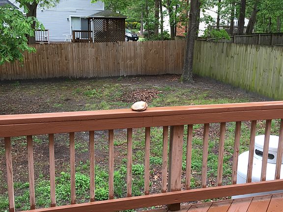 Back Yard View 1