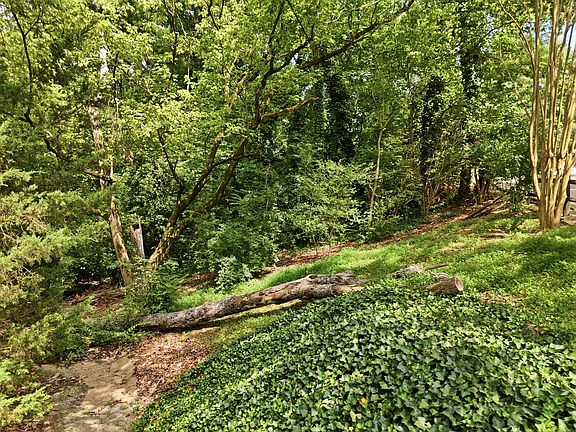 5th image of 0 Mountain Wood Dr
