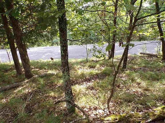 2nd image of 1433 Echota Ln