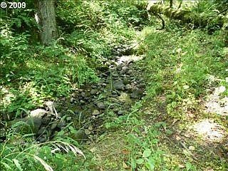 3rd image of 17285 NE Hillsboro Hwy