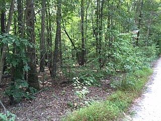 2nd image of 0 Stillwood Dr #1