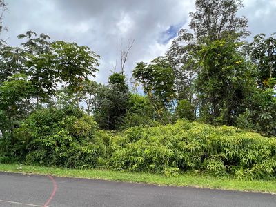 4th Ave Lot 2542, Keaau, HI, 96749