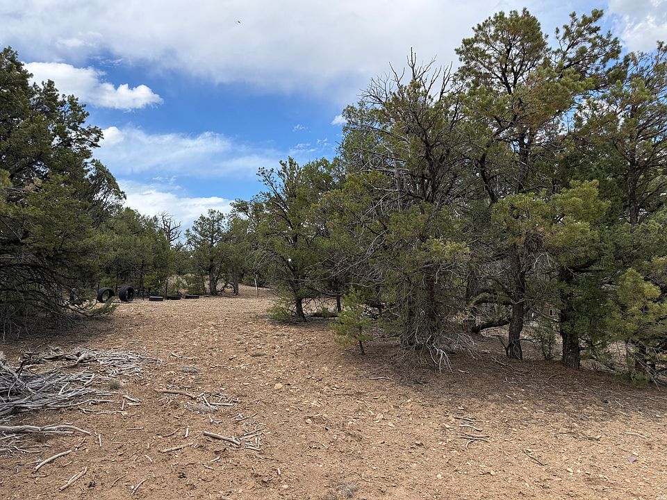 2nd image of Pinon Rdg