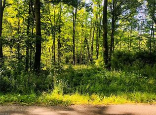 Allyn Rd, Hiram, OH 44234