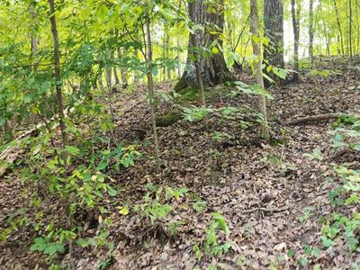 0 Highlander Rd, Camden, TN, 38320