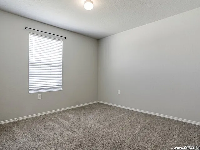 6903 Cozy Run — Photo 13