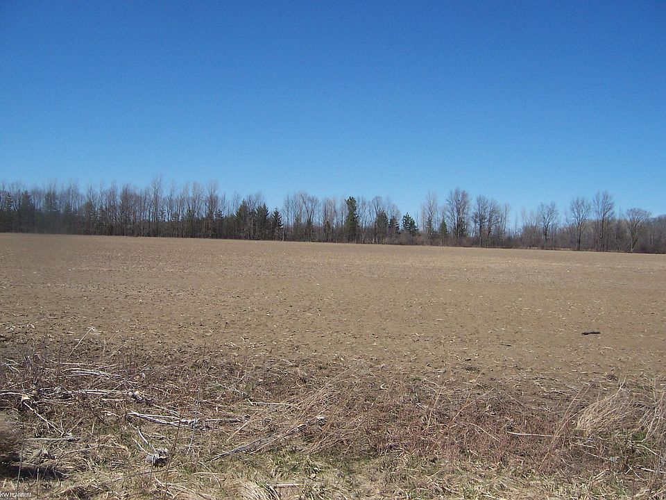 2nd image of LOT 2 Beard Rd