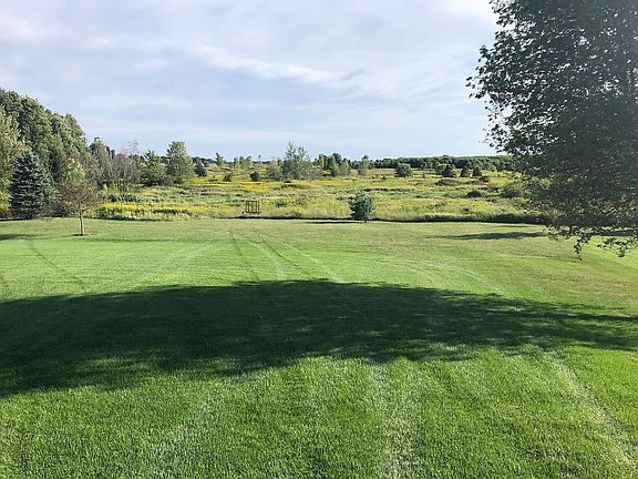 Backyard view!
