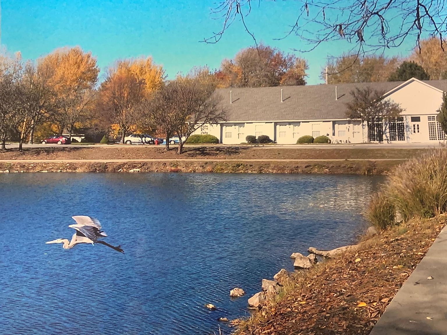 11300 Hidden Lake Dr, Raytown, MO 64133 Zillow