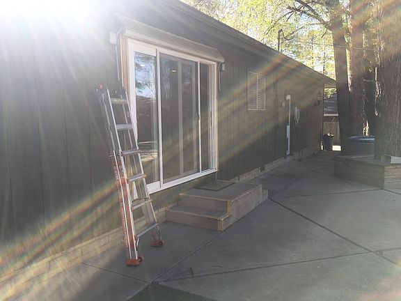 Back yard