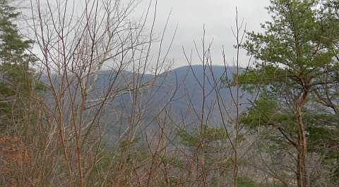 1st image of Bald Eagle Dr #14