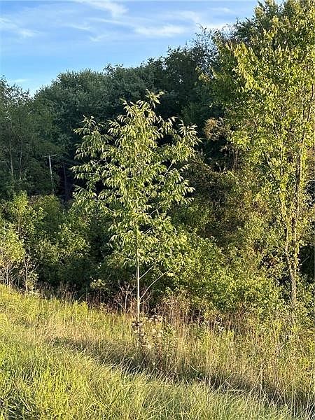 2nd image of 0 Elco Hill Rd