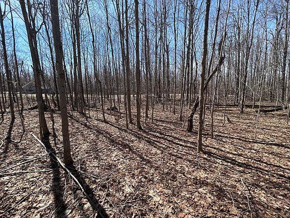 3rd image of LOT 738 Pine Run